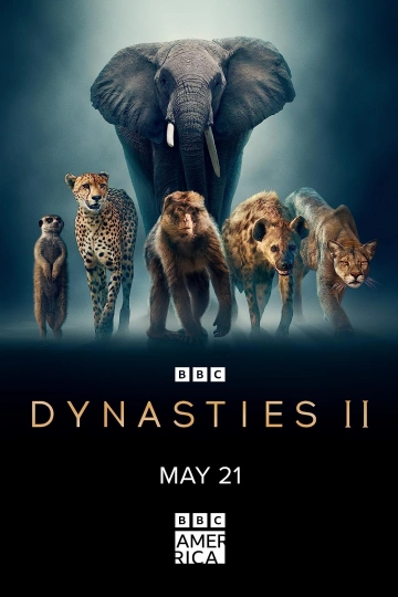 DYNASTIES ANIMALES - PUMAS