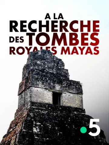 A la recherche des tombes royales mayas