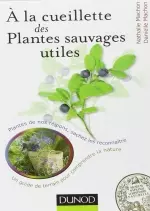 A la cueillette des plantes sauvages utiles