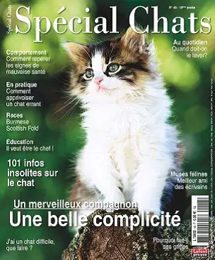 Spécial Chats N°48 – Juin-Août 2020