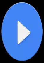 MX PLAYER PRO [AC3-DTS] V1.10.26