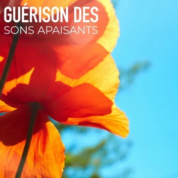 Relaxation Sommeil et Détente - Guérison des Sons Apaisants